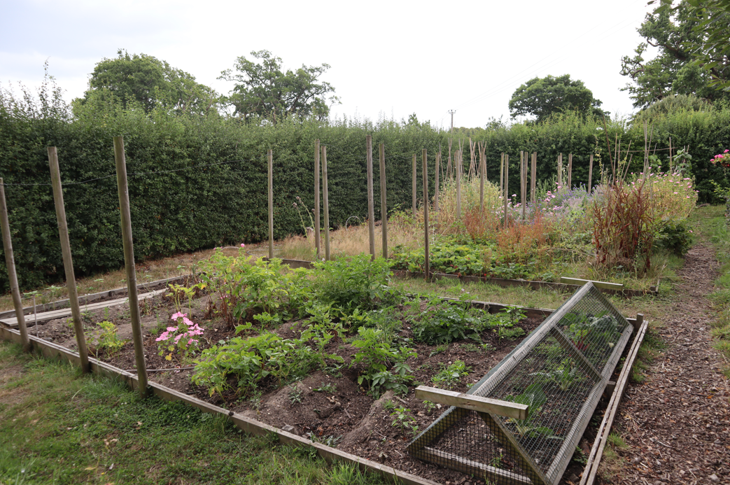 Allotment