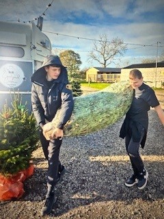 Young People Hoding Tree