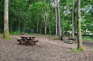 Screenshot 2025 12 10 113926