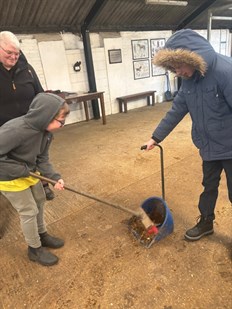 Student Cleaning Up Horse Stable