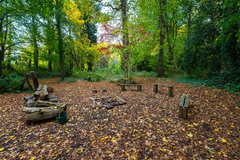 Forest School