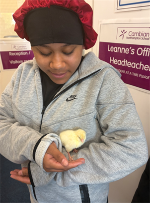 Holding Baby Chick