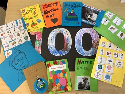 100 Birthday Sign