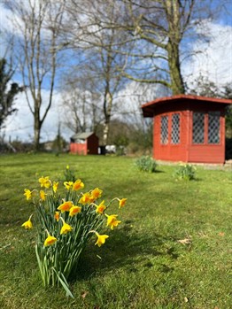 Garden 3