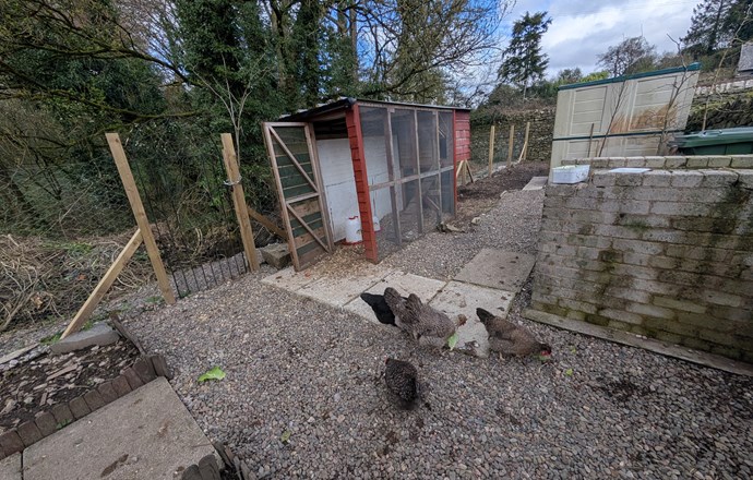 Ivy Cottage - News