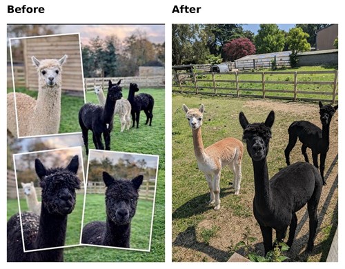 Before And After