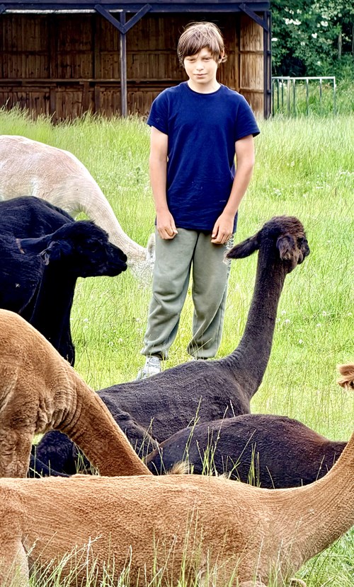 Beverley Butterwick Alpaca Retreat 1