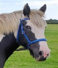 Picture10