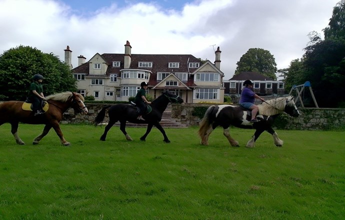 Our Equine Programme