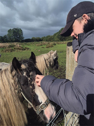 Moss Lane Farm Horses