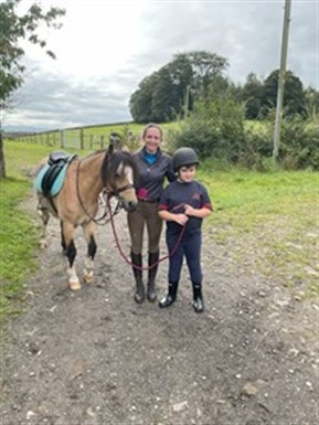Walking Horse