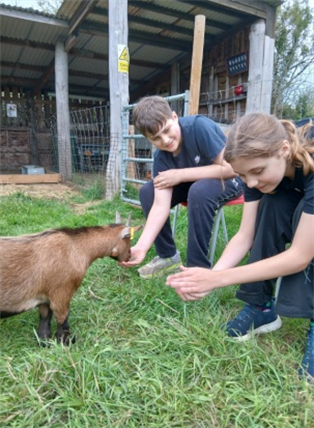Girl And Boy Feeding Goat