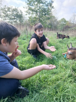Young People Feeding Goat