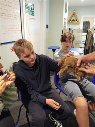 Young People Touching Animal
